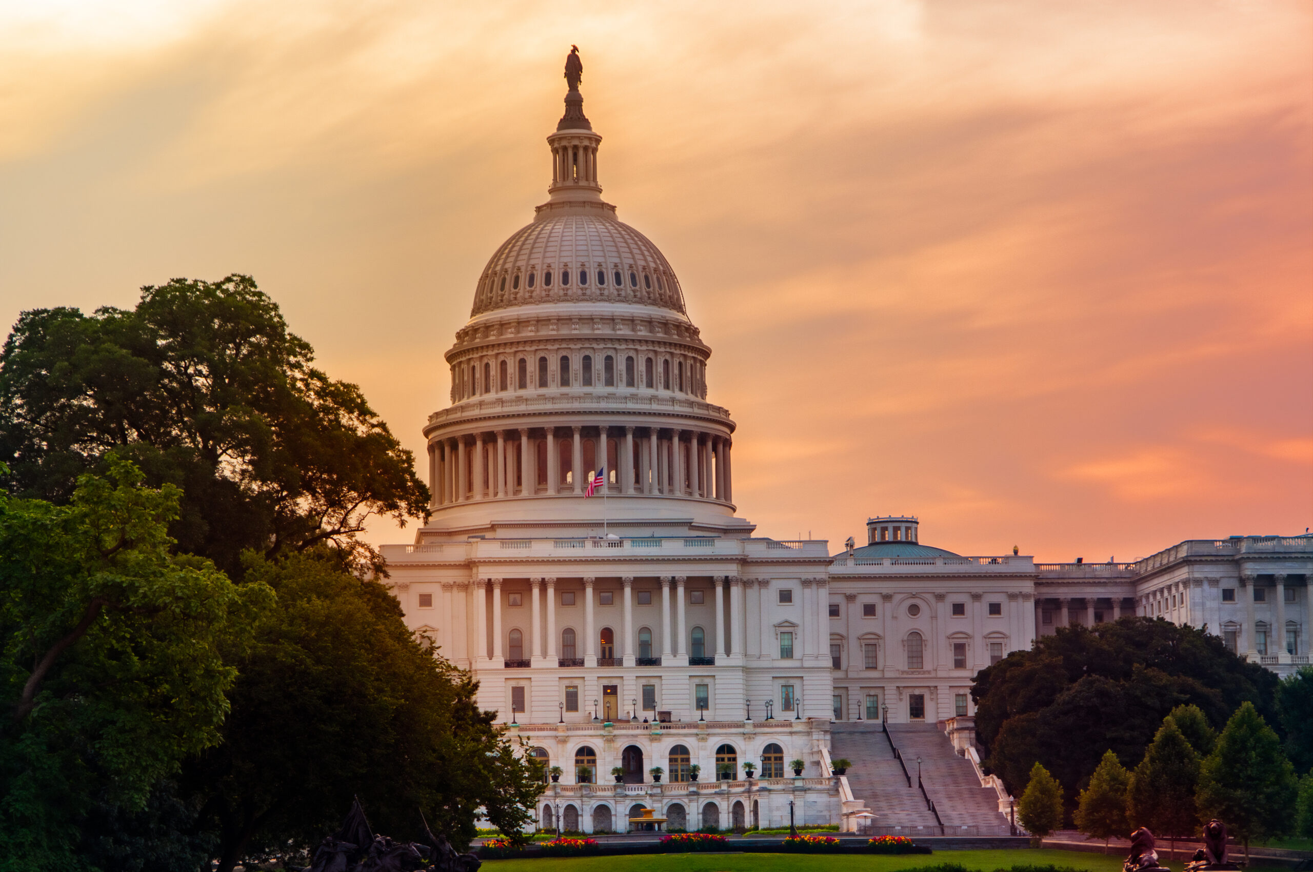 CEO Corner, Budget Edition: Week of June 2  
